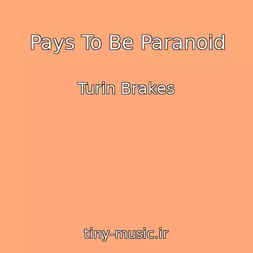 کاور آهنگ Pays To Be Paranoid از Turin Brakes