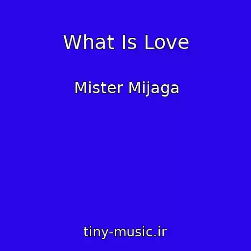کاور آهنگ What Is Love از Mister Mijaga