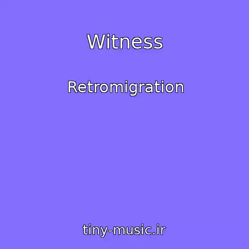 کاور آهنگ Witness از Retromigration