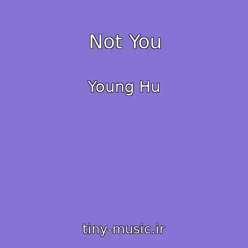 کاور آهنگ Not You از Young Hu