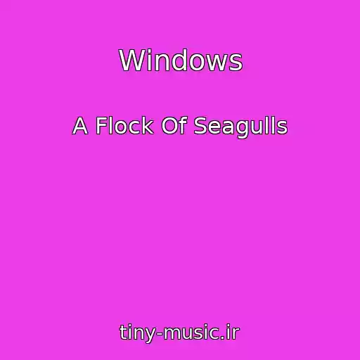 کاور آهنگ Windows از A Flock Of Seagulls