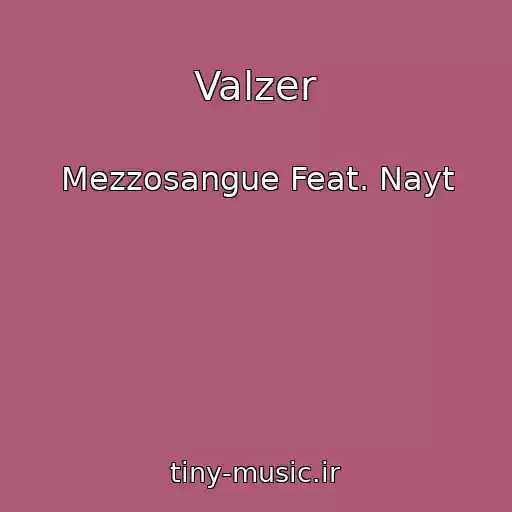 کاور آهنگ Valzer از Mezzosangue Feat. Nayt