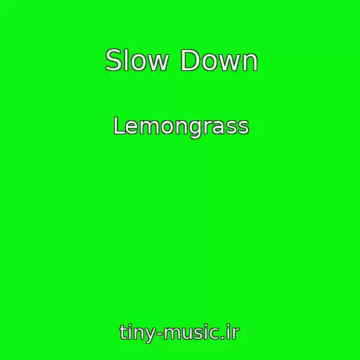 کاور آهنگ Slow Down از Lemongrass