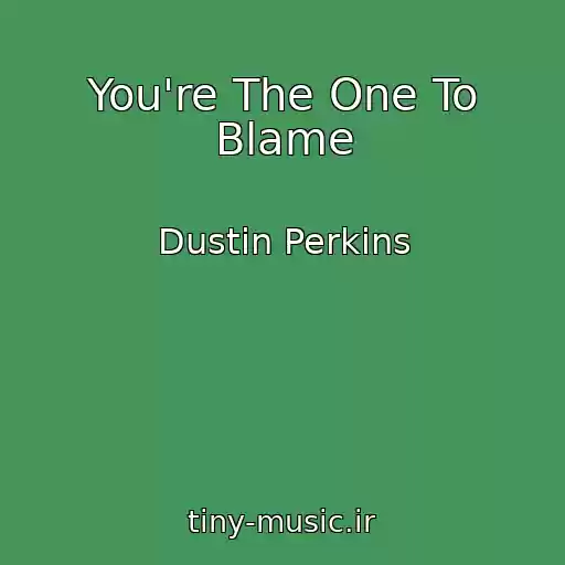 کاور آهنگ You're The One To Blame از Dustin Perkins