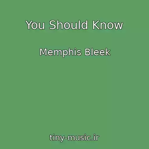 کاور آهنگ You Should Know از Memphis Bleek