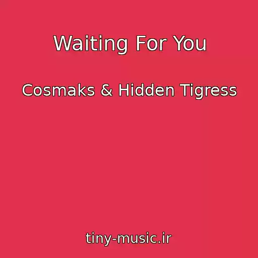 کاور آهنگ Waiting For You از Cosmaks & Hidden Tigress