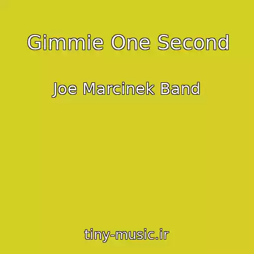 کاور آهنگ Gimmie One Second از Joe Marcinek Band