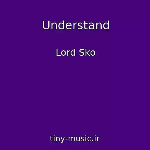 کاور آهنگ Understand از Lord Sko