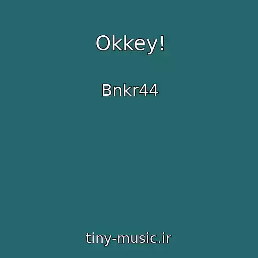 کاور آهنگ Okkey! از Bnkr44