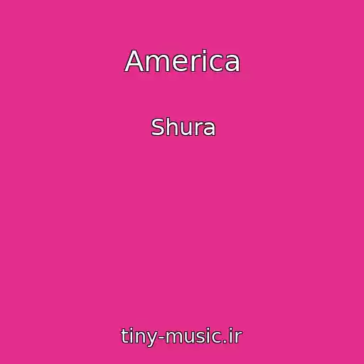 کاور آهنگ America از Shura