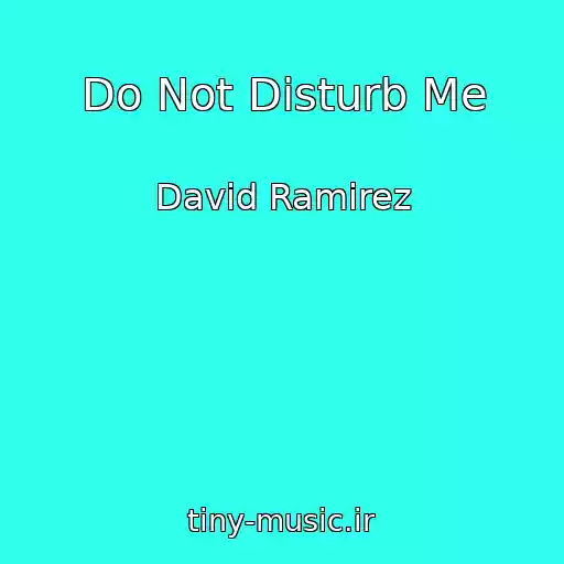 کاور آهنگ Do Not Disturb Me از David Ramirez