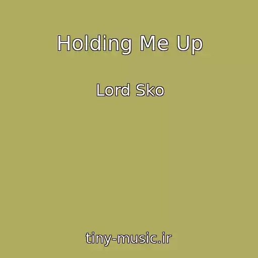 کاور آهنگ Holding Me Up از Lord Sko