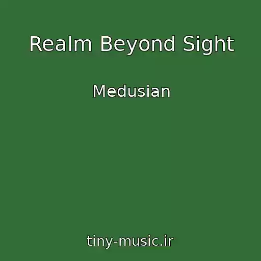 کاور آهنگ Realm Beyond Sight از Medusian