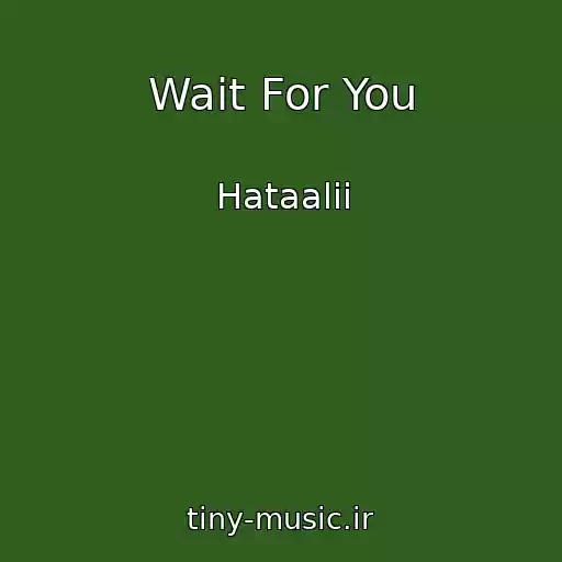 کاور آهنگ Wait For You از Hataalii