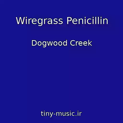 کاور آهنگ Wiregrass Penicillin از Dogwood Creek