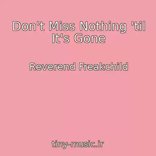 کاور آهنگ Don't Miss Nothing 'til It's Gone از Reverend Freakchild