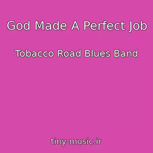 کاور آهنگ God Made A Perfect Job از Tobacco Road Blues Band