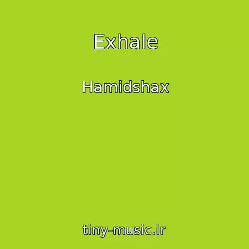 کاور آهنگ Exhale از Hamidshax