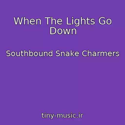 کاور آهنگ When The Lights Go Down از Southbound Snake Charmers
