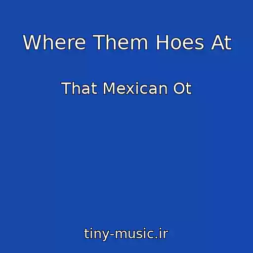 کاور آهنگ Where Them Hoes At از That Mexican Ot
