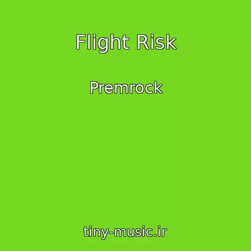 کاور آهنگ Flight Risk از Premrock