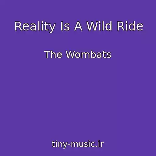 کاور آهنگ Reality Is A Wild Ride از The Wombats