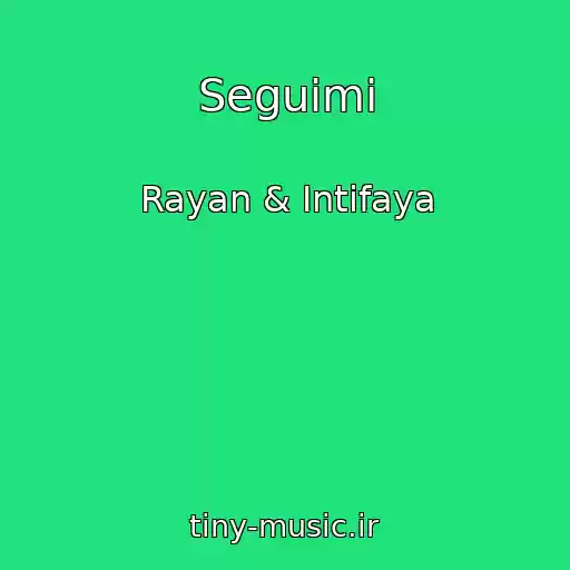 کاور آهنگ Seguimi از Rayan & Intifaya