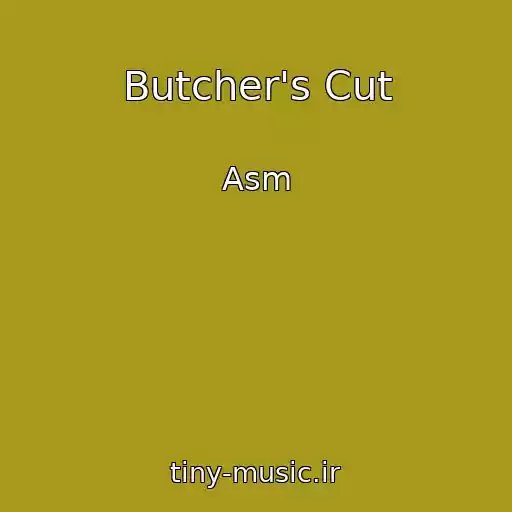 کاور آهنگ Butcher's Cut از Asm