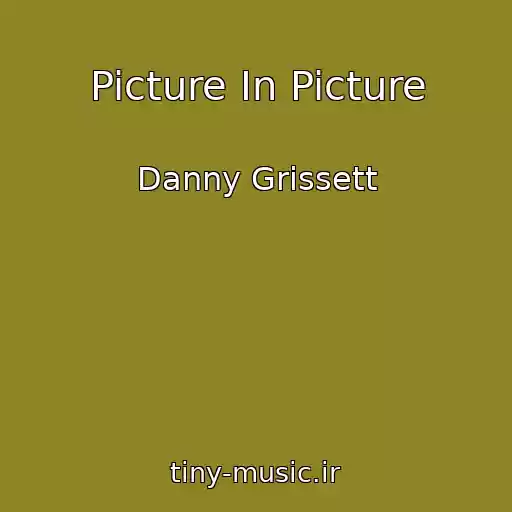 کاور آهنگ Picture In Picture از Danny Grissett