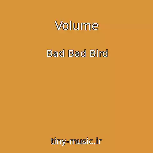 کاور آهنگ Volume از Bad Bad Bird