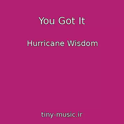 کاور آهنگ You Got It از Hurricane Wisdom