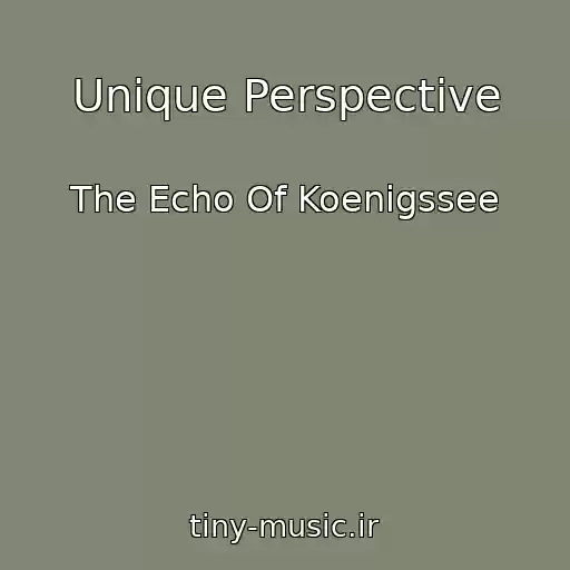 کاور آهنگ Unique Perspective از The Echo Of Koenigssee