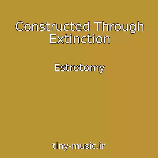 کاور آهنگ Constructed Through Extinction از Estrotomy
