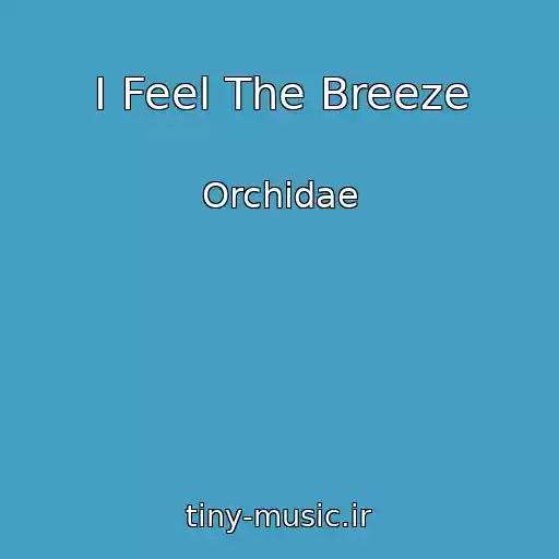 کاور آهنگ I Feel The Breeze از Orchidae