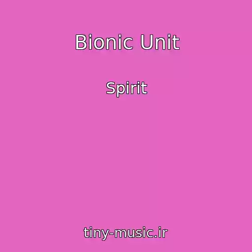 کاور آهنگ Bionic Unit از Spirit