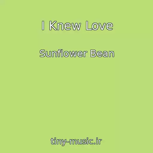 کاور آهنگ I Knew Love از Sunflower Bean