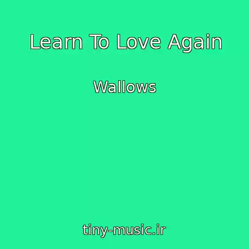 کاور آهنگ Learn To Love Again از Wallows