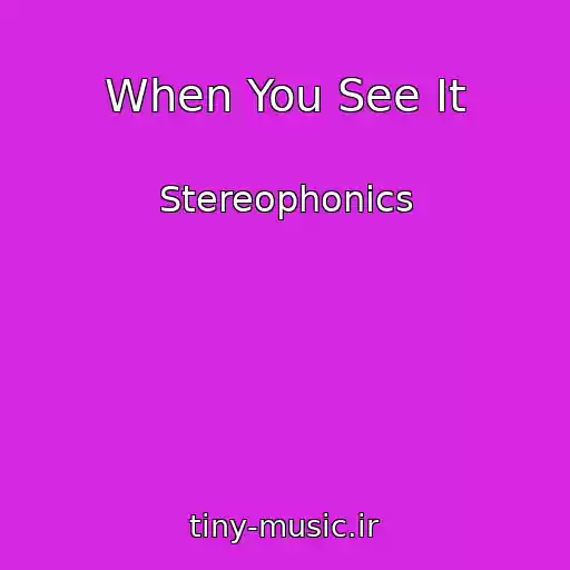 کاور آهنگ When You See It از Stereophonics