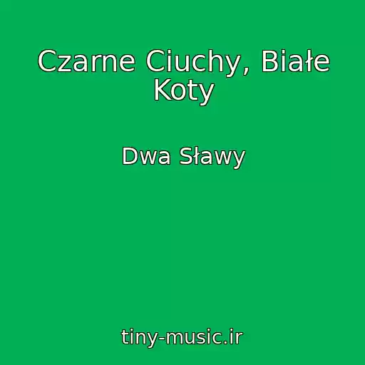کاور آهنگ Czarne Ciuchy, Białe Koty از Dwa Sławy