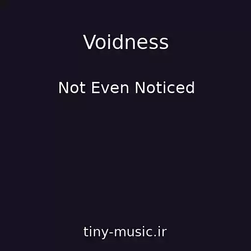 کاور آهنگ Voidness از Not Even Noticed