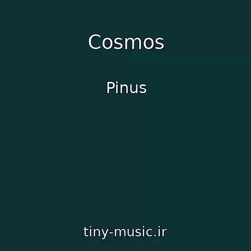 کاور آهنگ Cosmos از Pinus