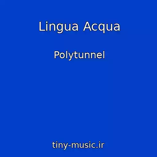 کاور آهنگ Lingua Acqua از Polytunnel