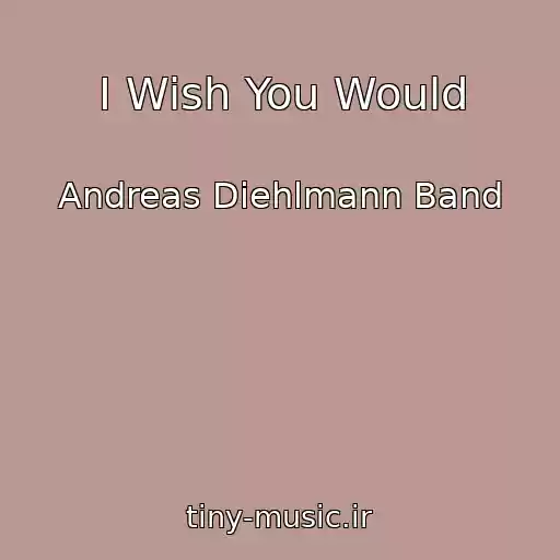 کاور آهنگ I Wish You Would از Andreas Diehlmann Band