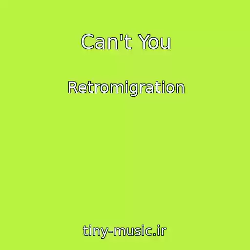 کاور آهنگ Can't You از Retromigration