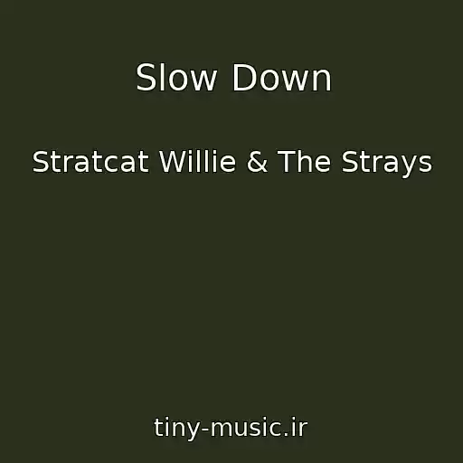 کاور آهنگ Slow Down از Stratcat Willie & The Strays