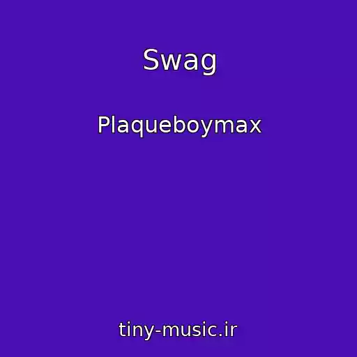 کاور آهنگ Swag از Plaqueboymax