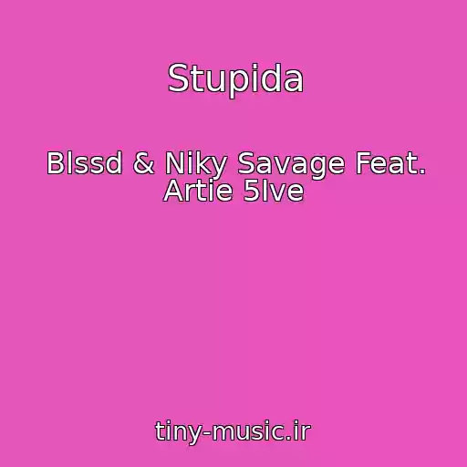 کاور آهنگ Stupida از Blssd & Niky Savage Feat. Artie 5Ive