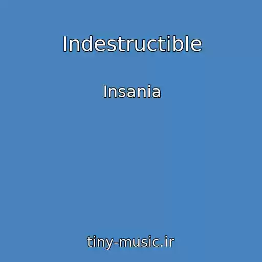 کاور آهنگ Indestructible از Insania