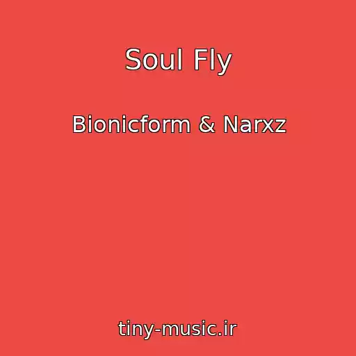 کاور آهنگ Soul Fly از Bionicform & Narxz