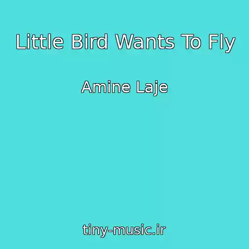 کاور آهنگ Little Bird Wants To Fly از Amine Laje